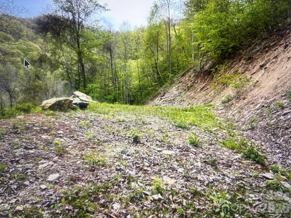0 Huckleberry Walk #61 Bryson City, NC 28713