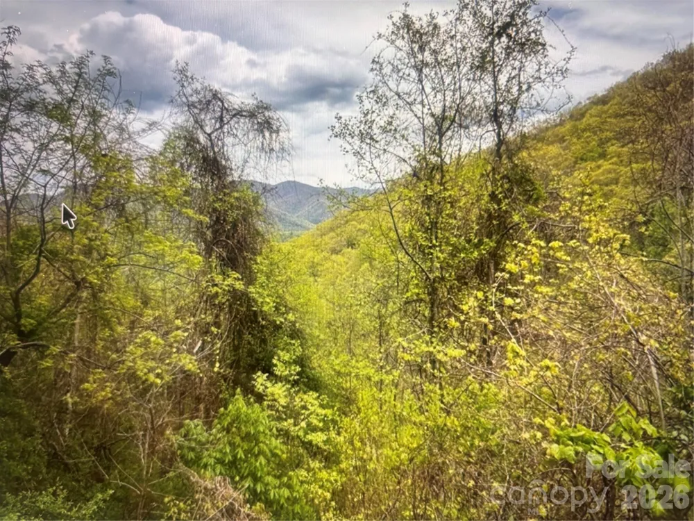 0 Huckleberry Walk #61 Bryson City, NC 28713