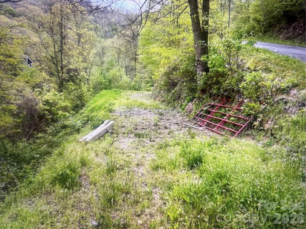0 Huckleberry Walk #61 Bryson City, NC 28713