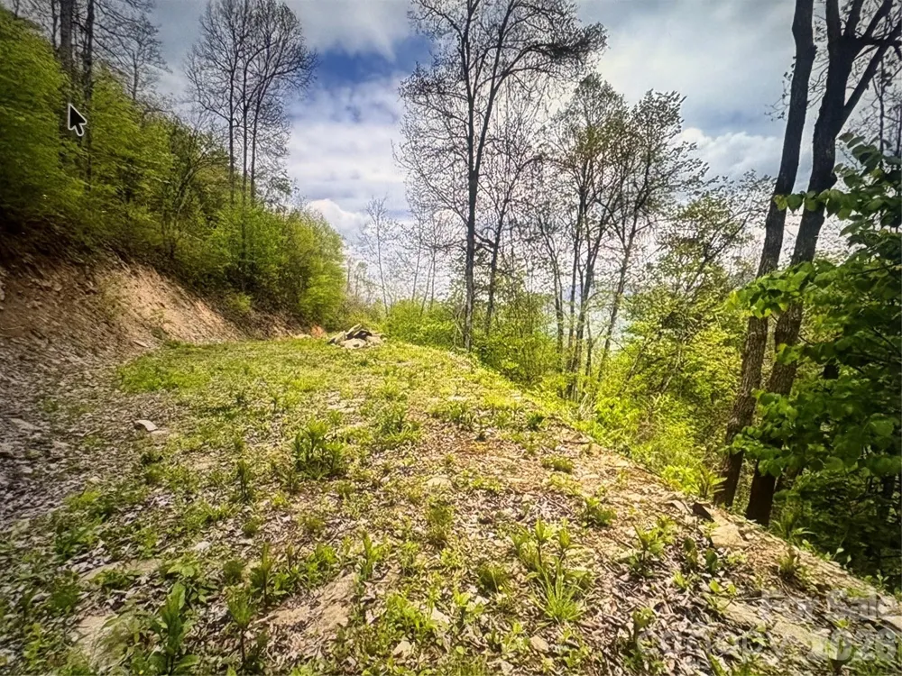 0 Huckleberry Walk #61 Bryson City, NC 28713