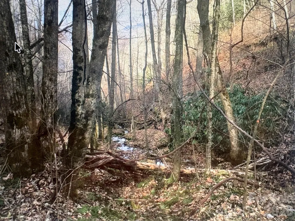 0 Huckleberry Walk #61 Bryson City, NC 28713