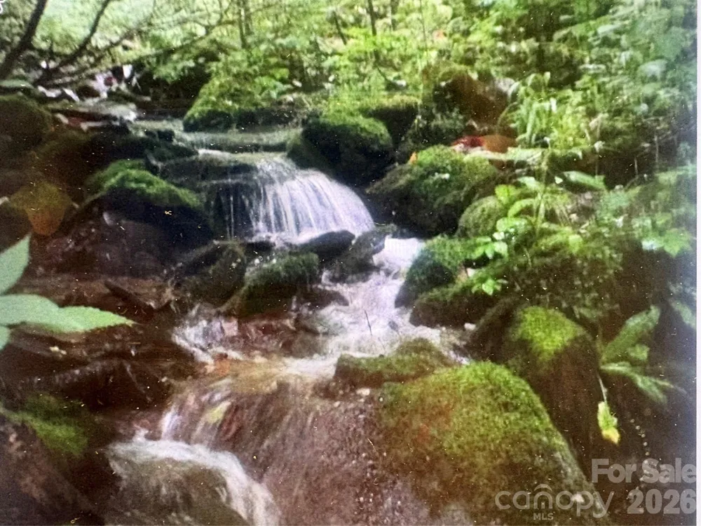 0 Huckleberry Walk #61 Bryson City, NC 28713