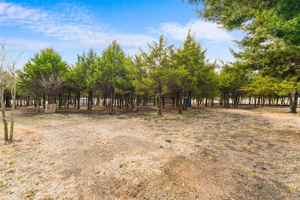 710 E Reindeer Road Lancaster, TX 75146