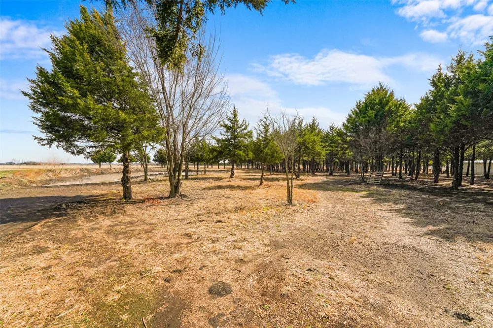 710 E Reindeer Road Lancaster, TX 75146