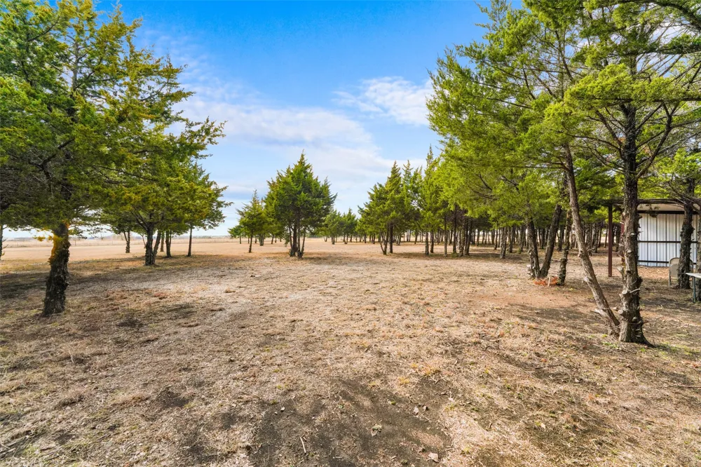 710 E Reindeer Road Lancaster, TX 75146