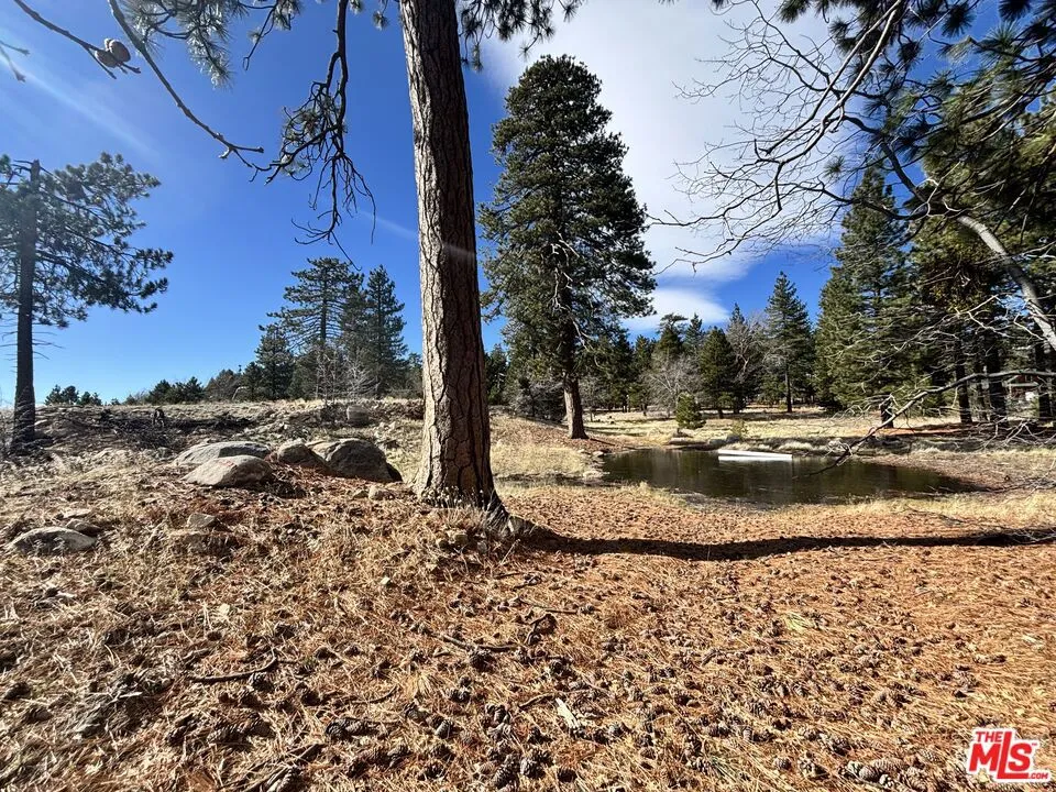 3521 Seymour Road Running Springs, CA 92382