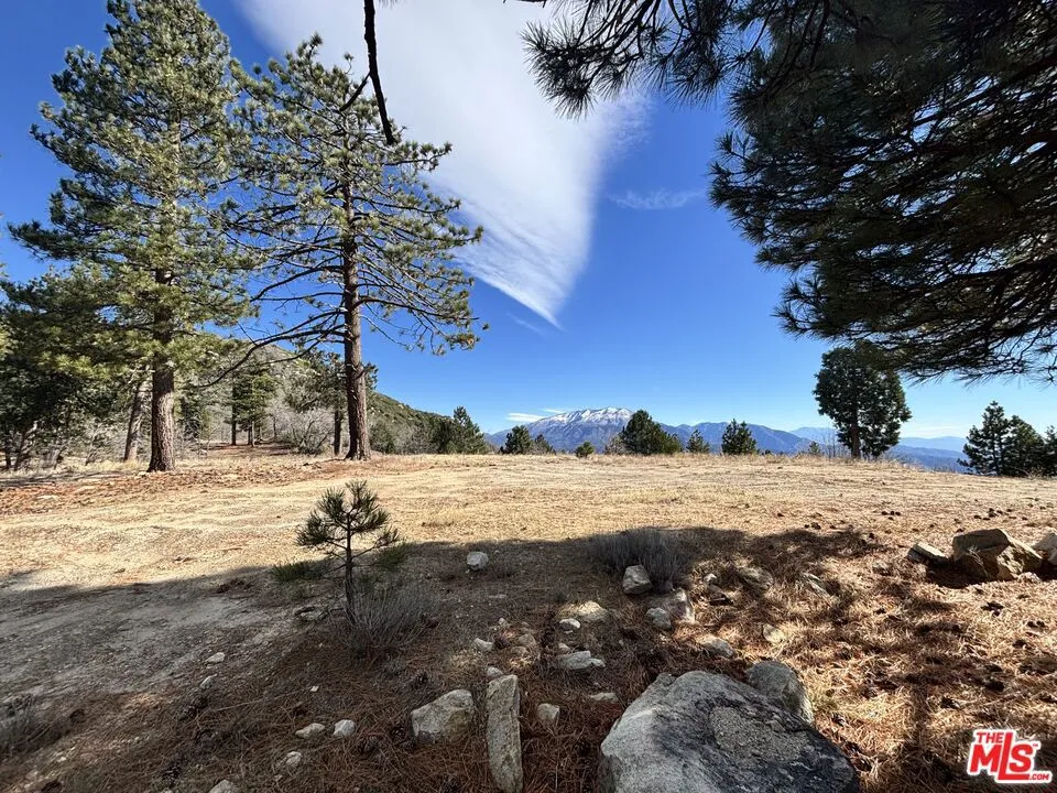 3521 Seymour Road Running Springs, CA 92382