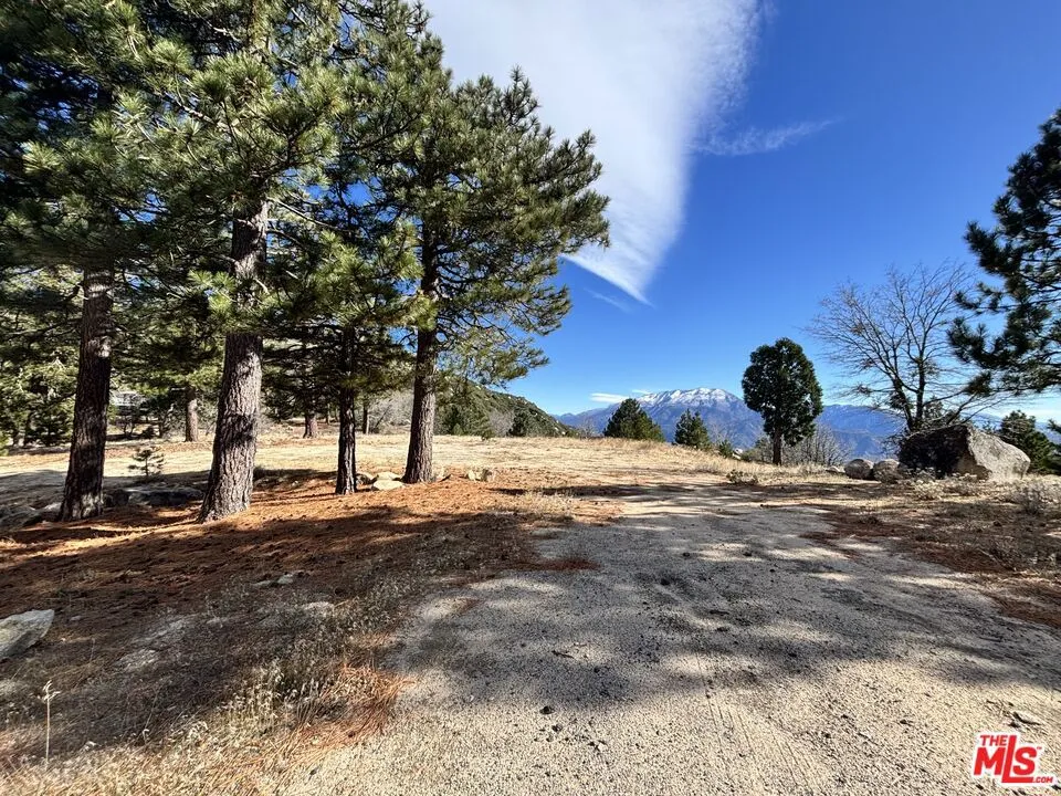 3521 Seymour Road Running Springs, CA 92382