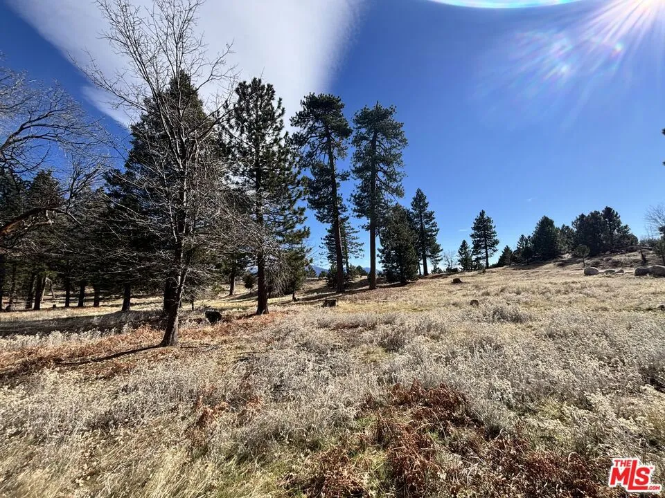 3521 Seymour Road Running Springs, CA 92382