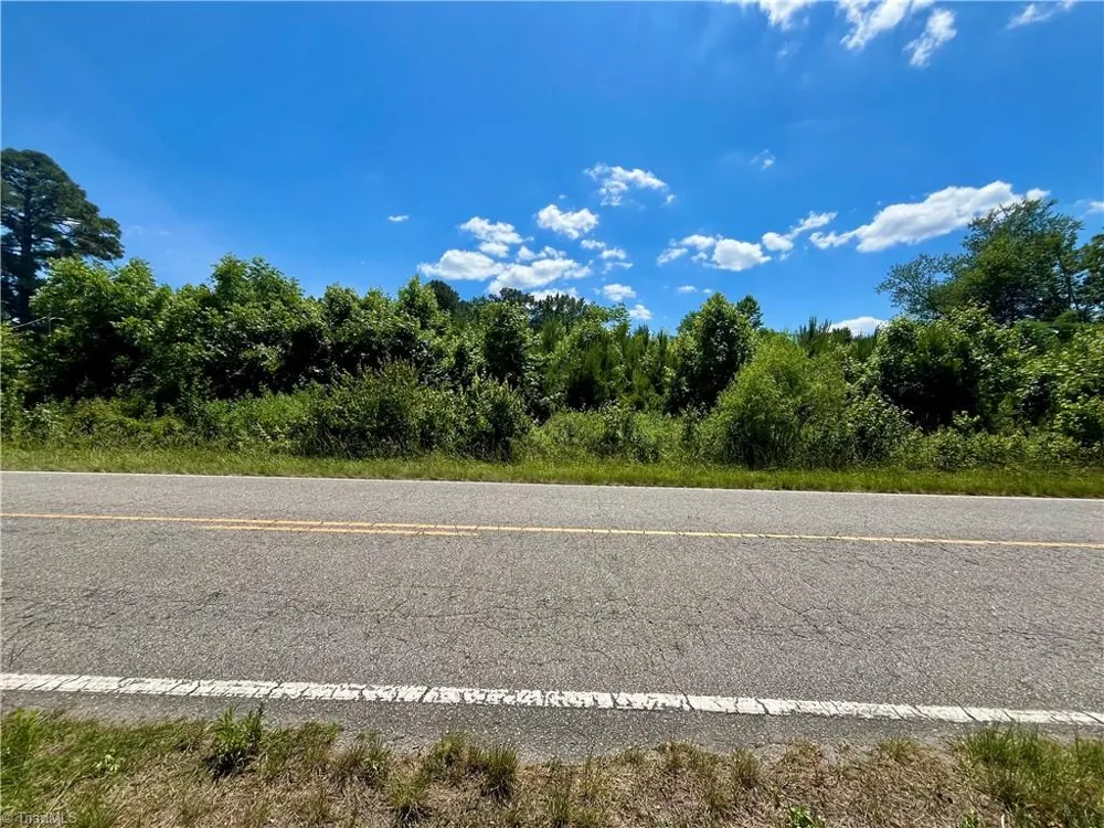 0 Willard Road Willard, NC 28478