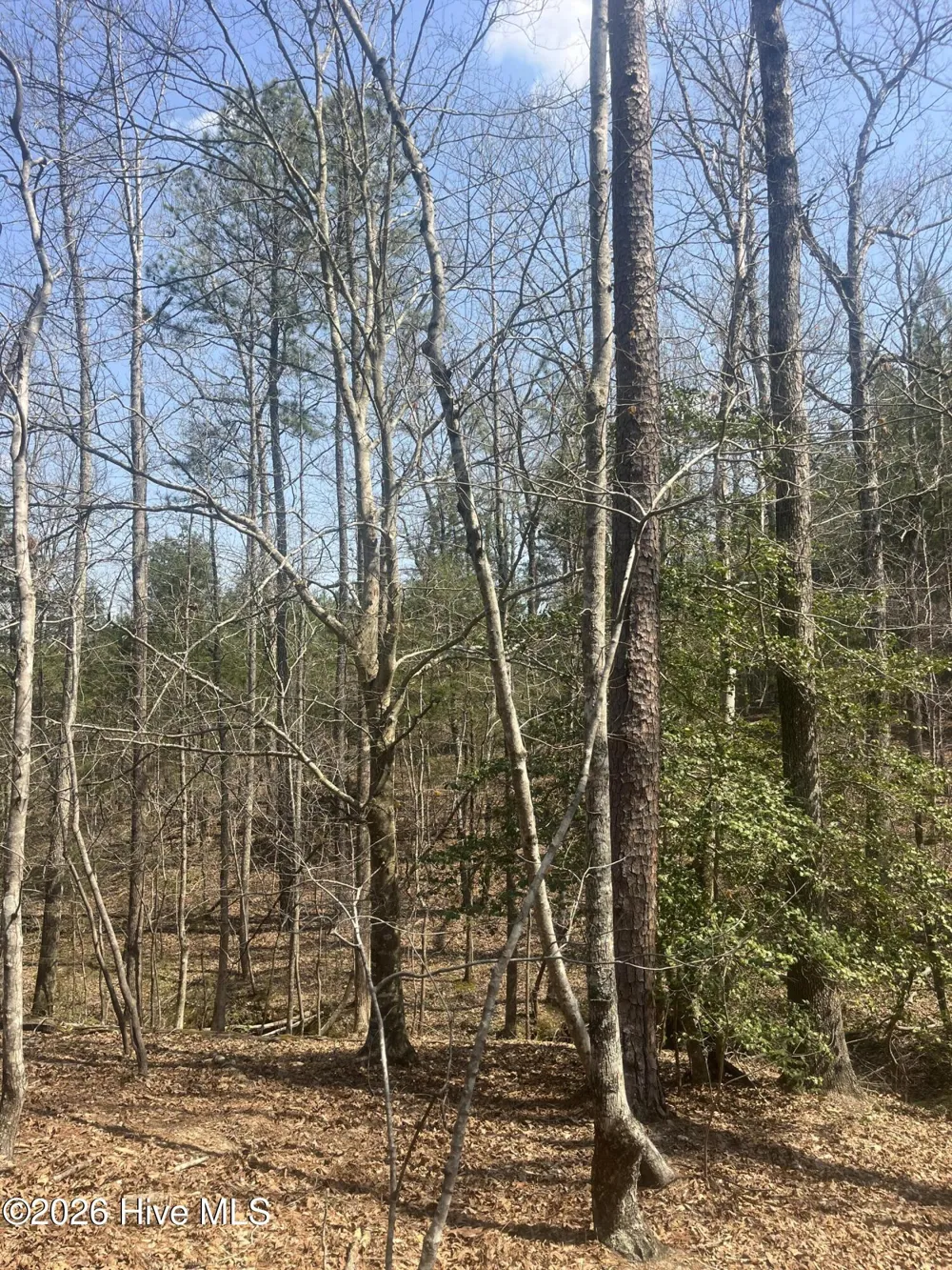 Tbd Healing Acres Lane Carthage, NC 28327