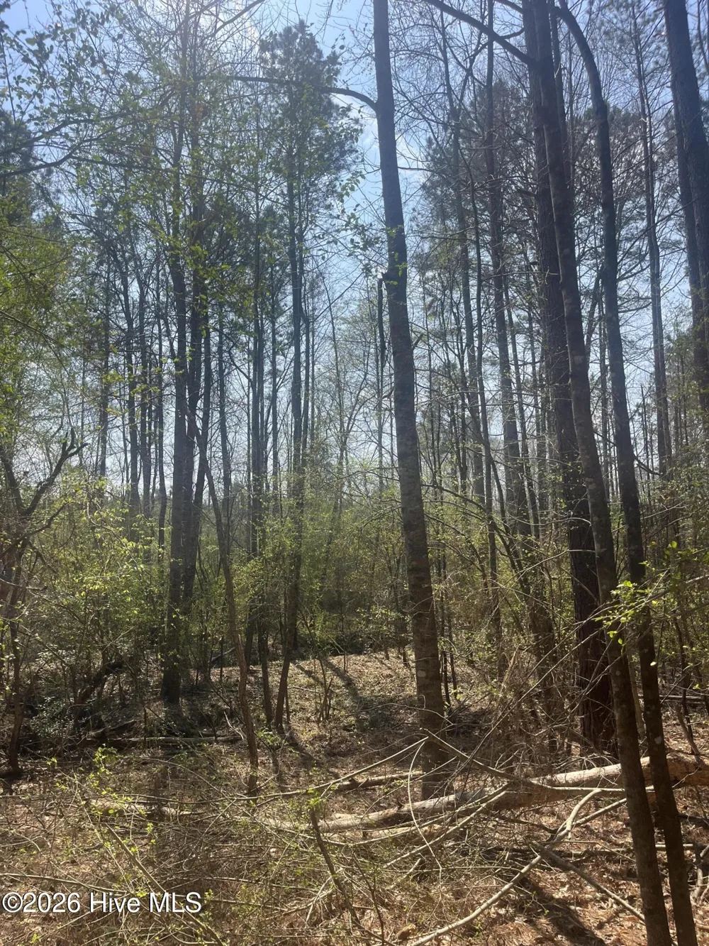 Tbd Healing Acres Lane Carthage, NC 28327