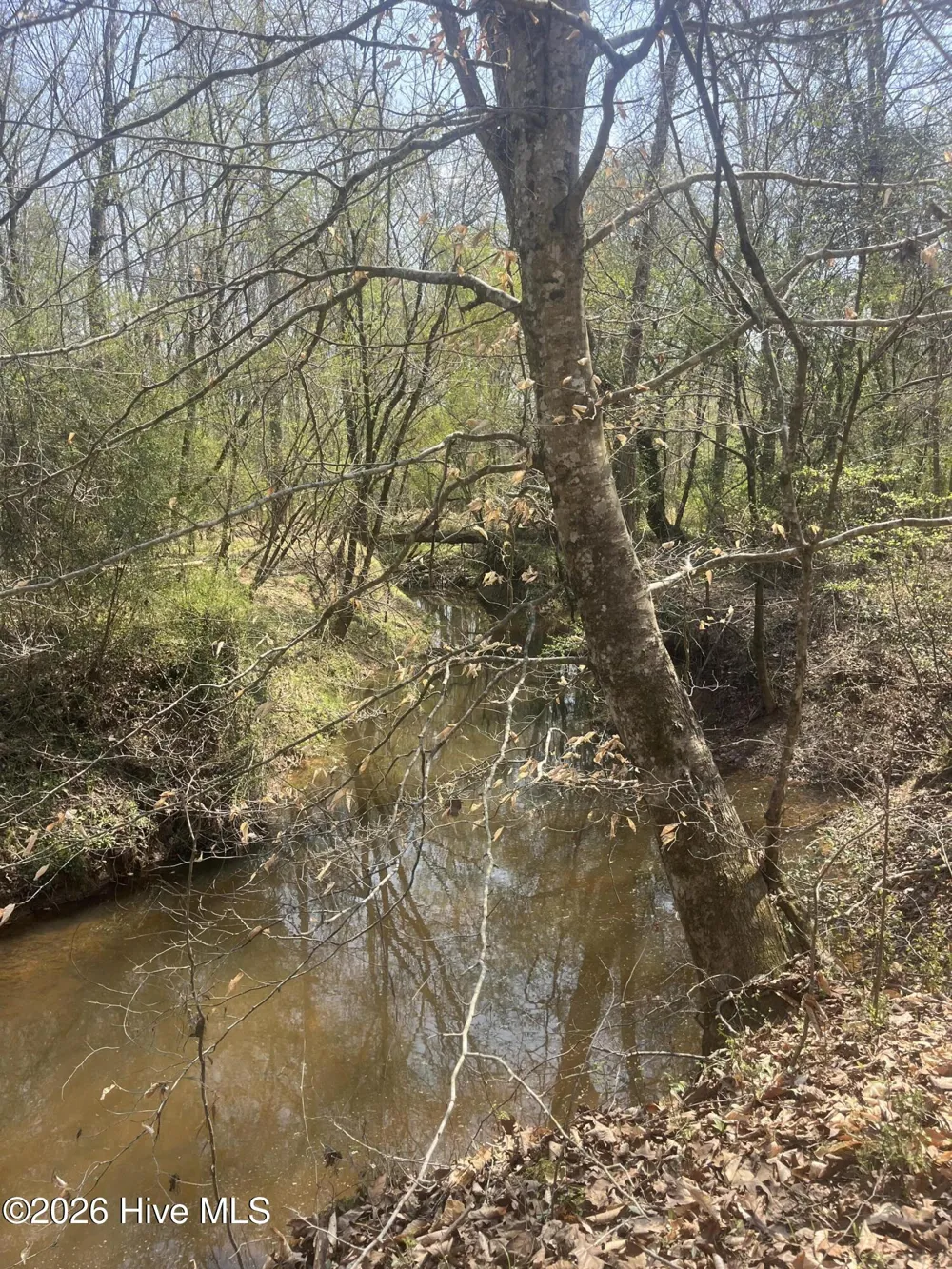 Tbd Healing Acres Lane Carthage, NC 28327