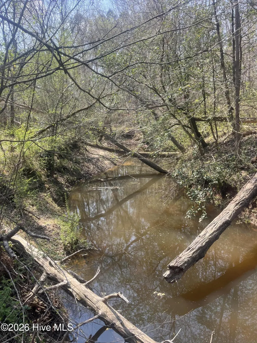 Tbd Healing Acres Lane Carthage, NC 28327