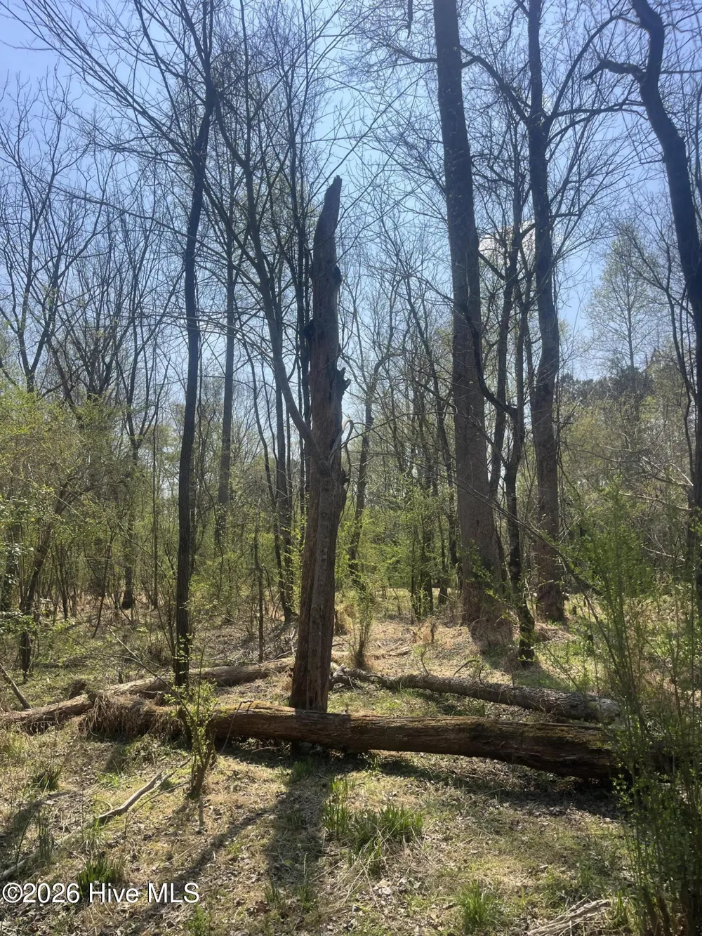 Tbd Healing Acres Lane Carthage, NC 28327