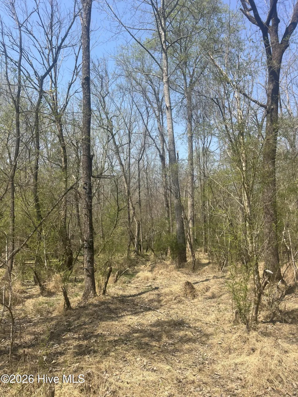 Tbd Healing Acres Lane Carthage, NC 28327