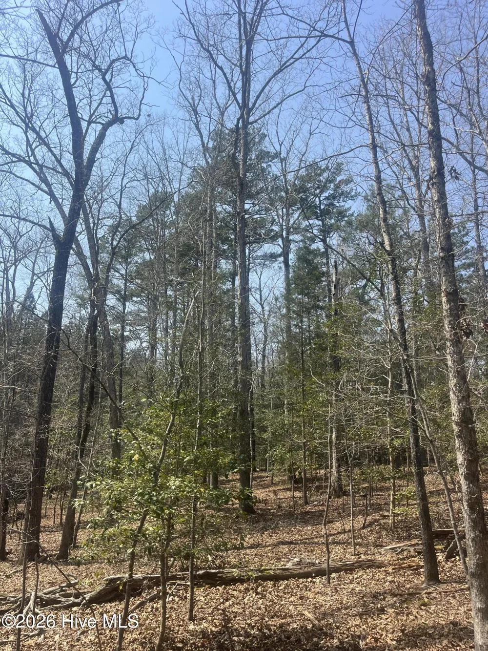 Tbd Healing Acres Lane Carthage, NC 28327