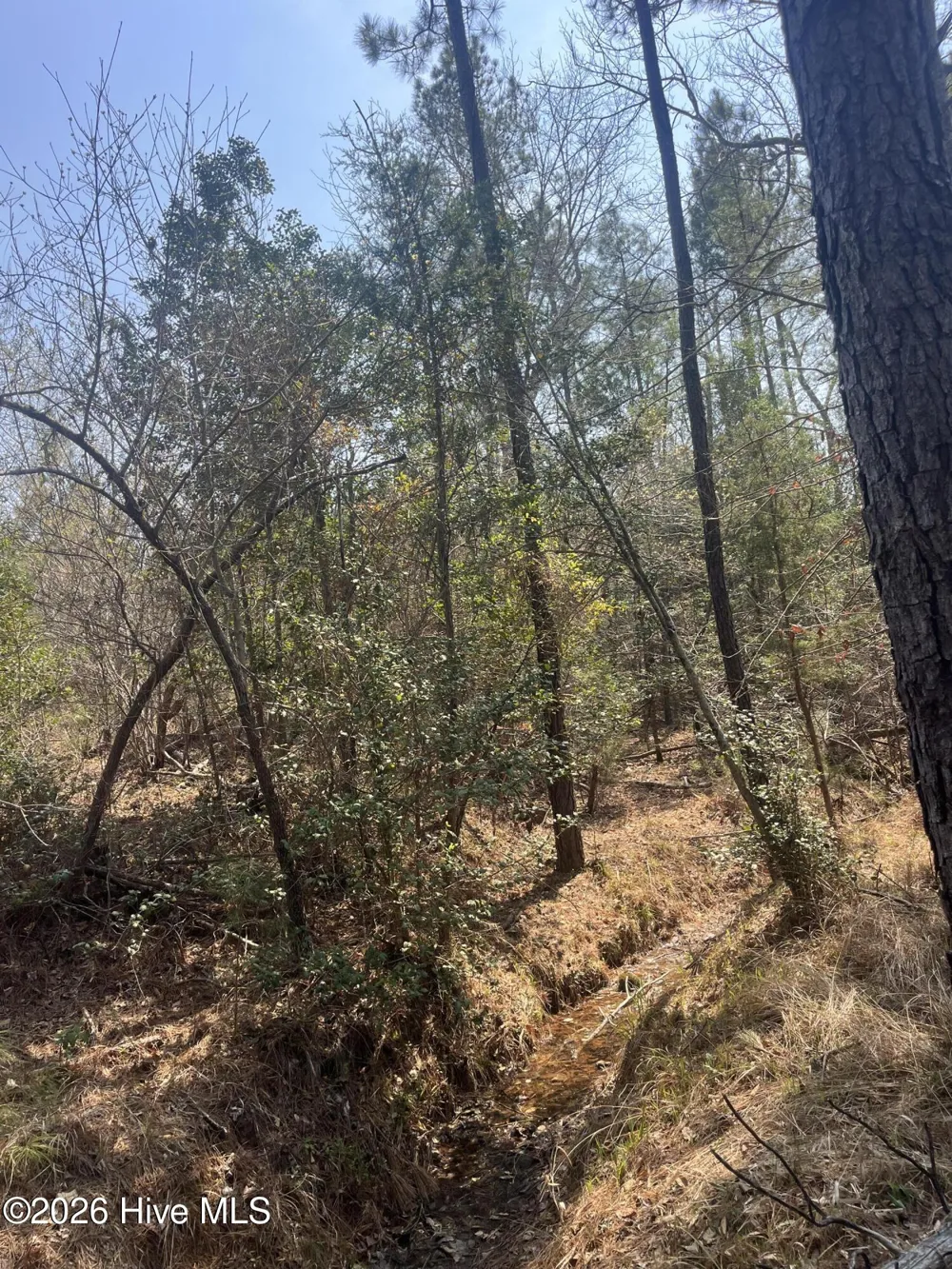 Tbd Healing Acres Lane Carthage, NC 28327