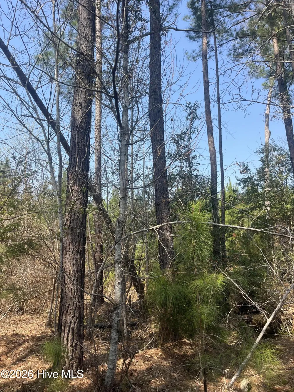 Tbd Healing Acres Lane Carthage, NC 28327