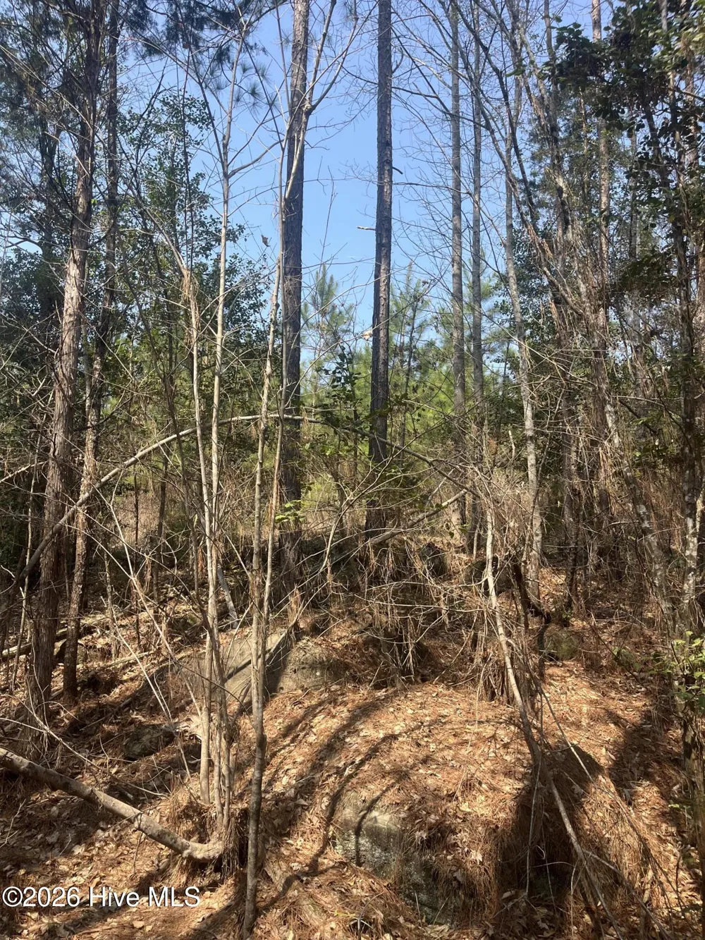 Tbd Healing Acres Lane Carthage, NC 28327