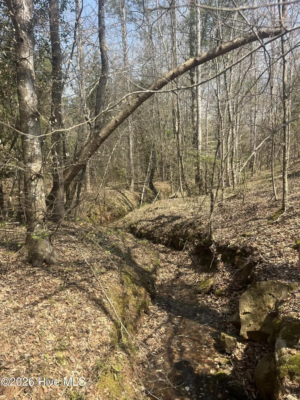 Tbd Healing Acres Lane Carthage, NC 28327