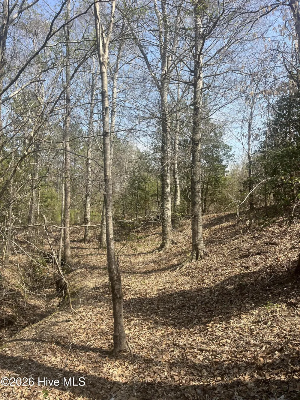 Tbd Healing Acres Lane Carthage, NC 28327