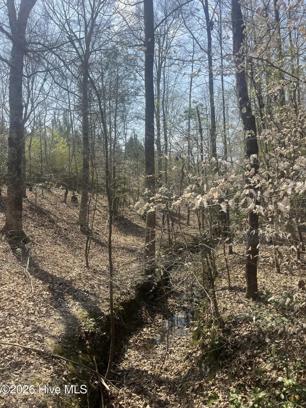 Tbd Healing Acres Lane Carthage, NC 28327