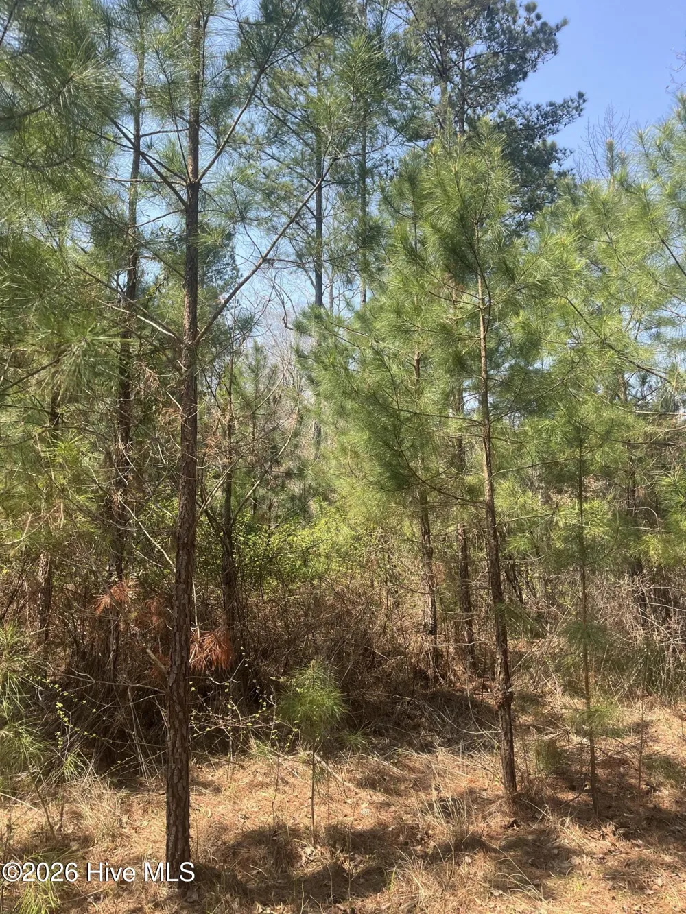 Tbd Healing Acres Lane Carthage, NC 28327