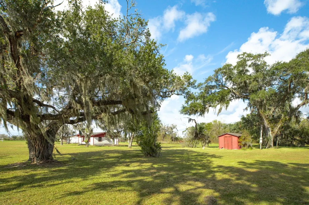 County Road 316 Brazoria, TX 77422
