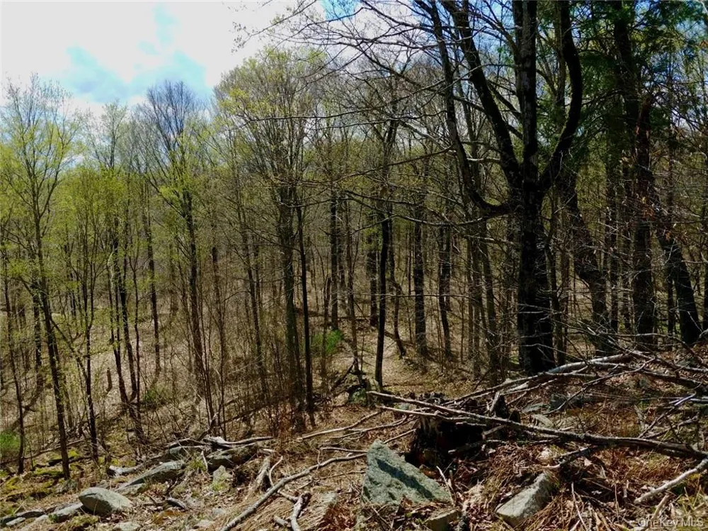 Shandelee Road Livingston Manor, NY 12758