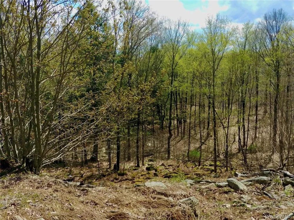 Shandelee Road Livingston Manor, NY 12758