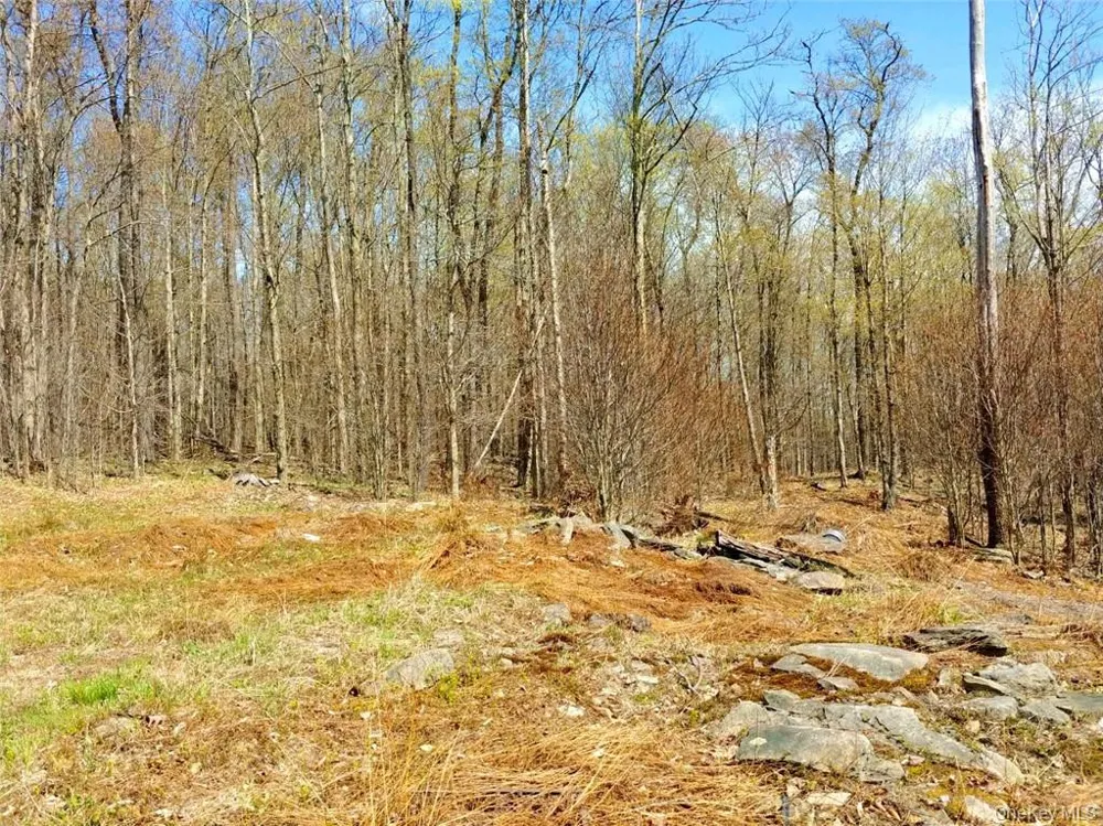 Shandelee Road Livingston Manor, NY 12758
