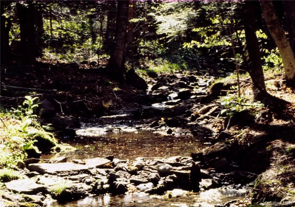 Shandelee Road Livingston Manor, NY 12758