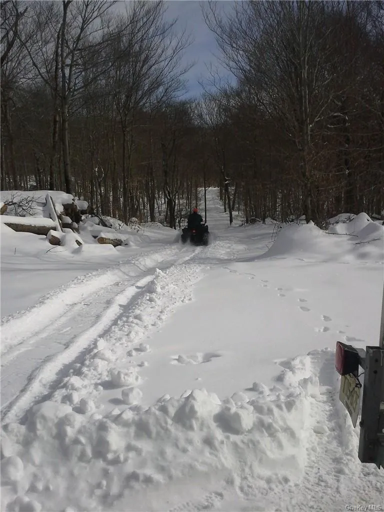 Shandelee Road Livingston Manor, NY 12758