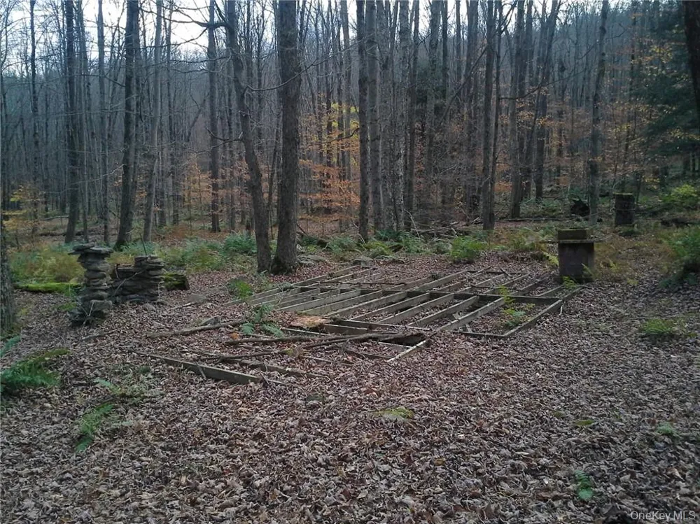 Shandelee Road Livingston Manor, NY 12758