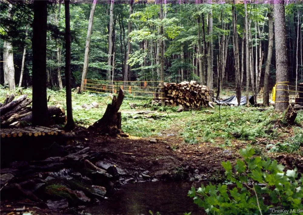 Shandelee Road Livingston Manor, NY 12758
