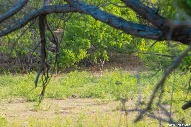 900 THOMPSON RD Kerrville, TX 78028