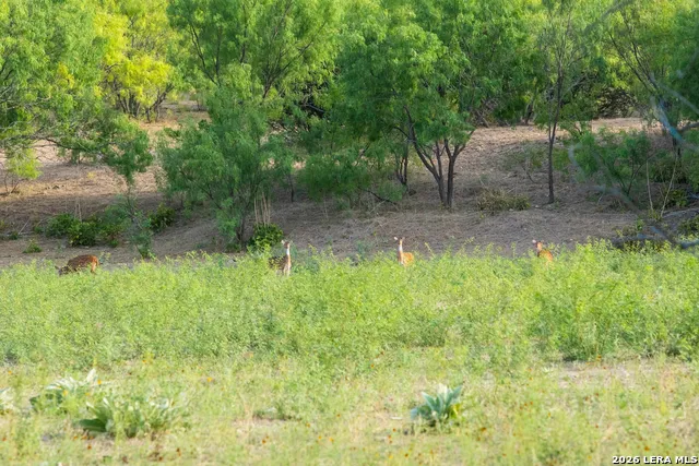 900 THOMPSON RD Kerrville, TX 78028