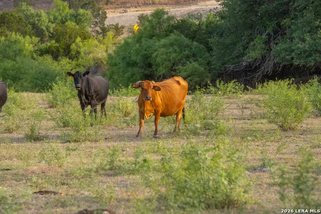 900 THOMPSON RD Kerrville, TX 78028