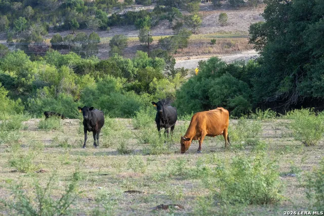 900 THOMPSON RD Kerrville, TX 78028
