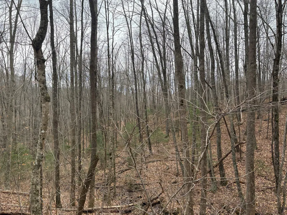 0 Pond View Ridge Franklin, NC 28734