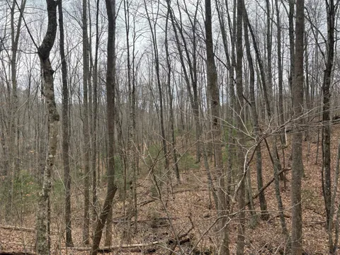 0 Pond View Ridge
