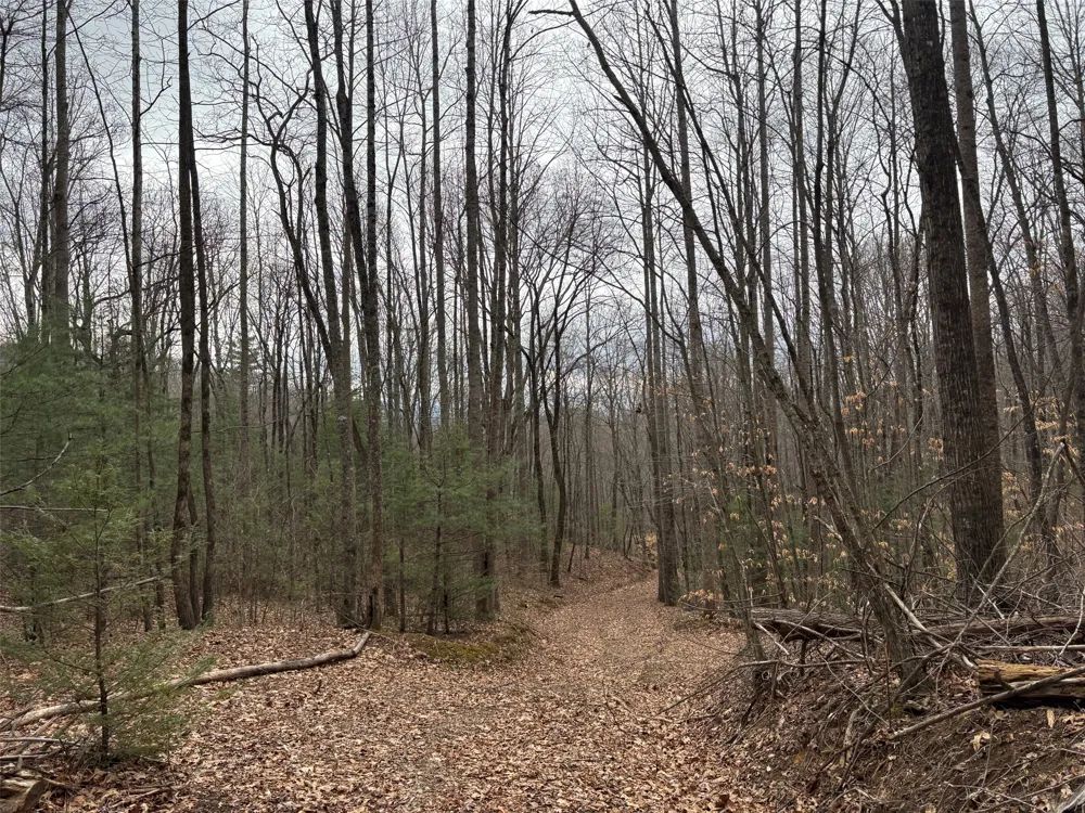 0 Pond View Ridge Franklin, NC 28734