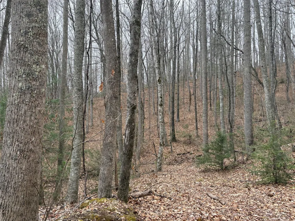 0 Pond View Ridge Franklin, NC 28734