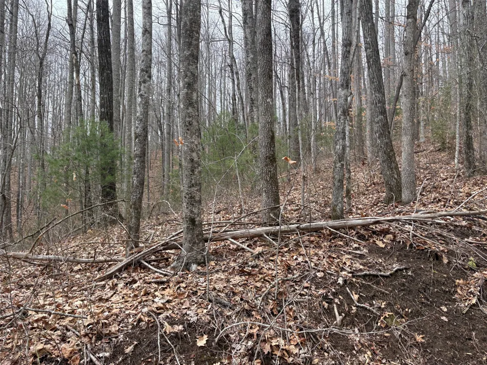 0 Pond View Ridge Franklin, NC 28734