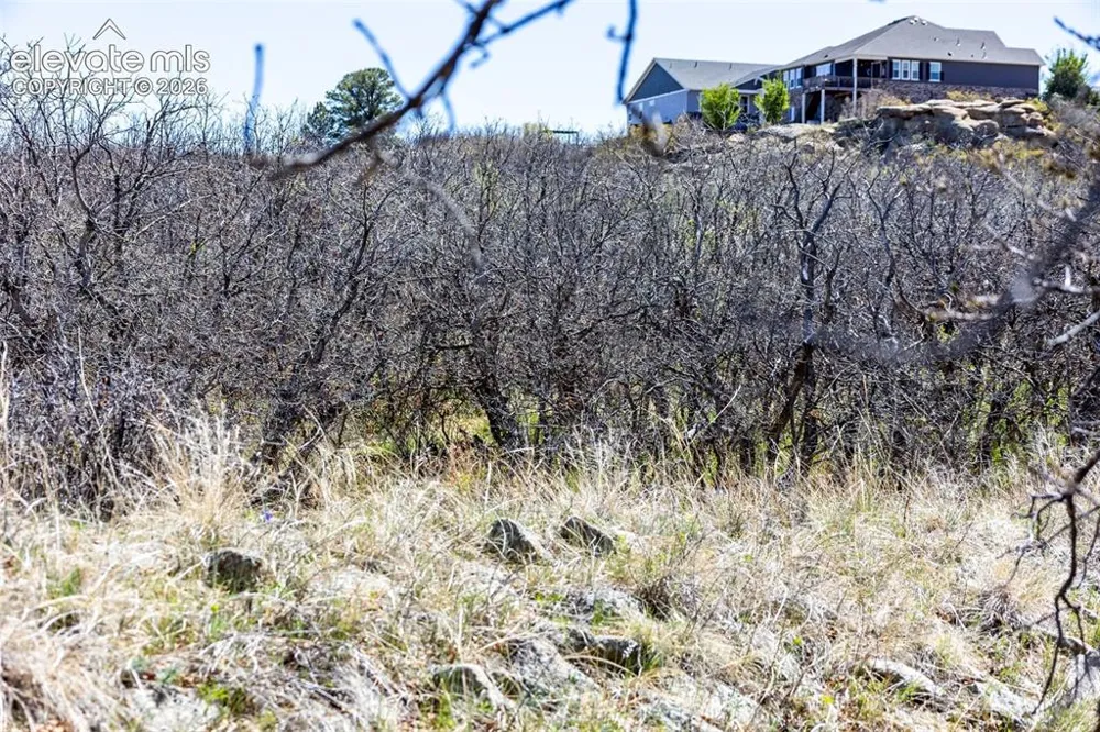 1701 Rocky View Road Castle Rock, CO 80108