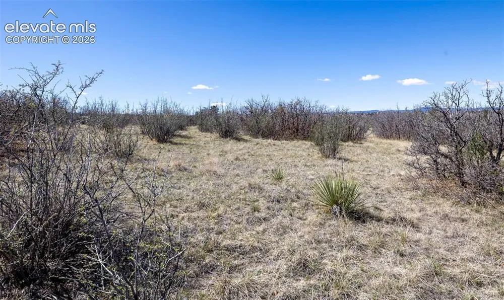 1701 Rocky View Road Castle Rock, CO 80108