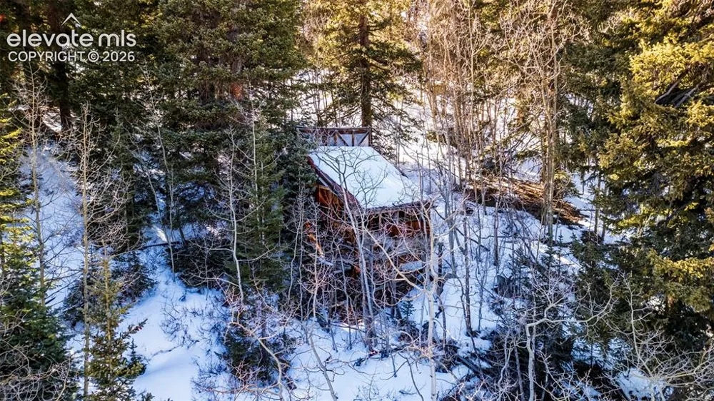 944 Roberts Road Alma, CO 80420
