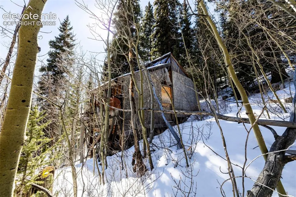 944 Roberts Road Alma, CO 80420