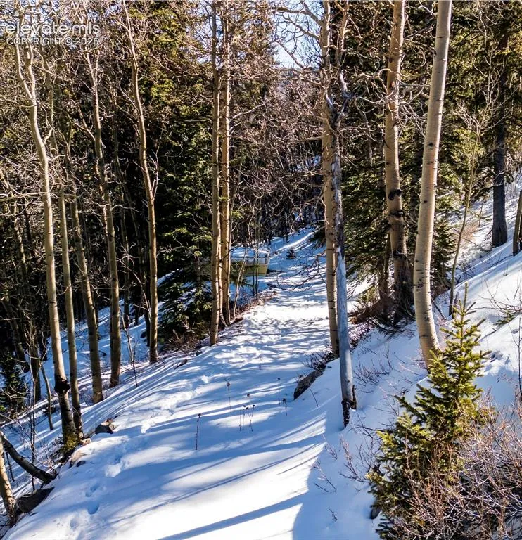 944 Roberts Road Alma, CO 80420